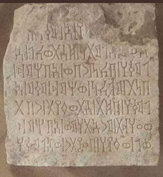 مهتم - مارب 15